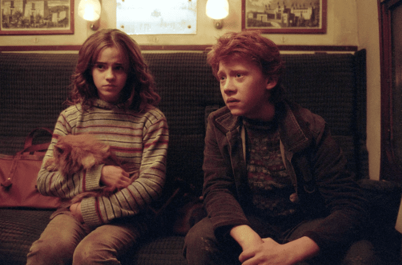 Crookshanks Hogwarts Years