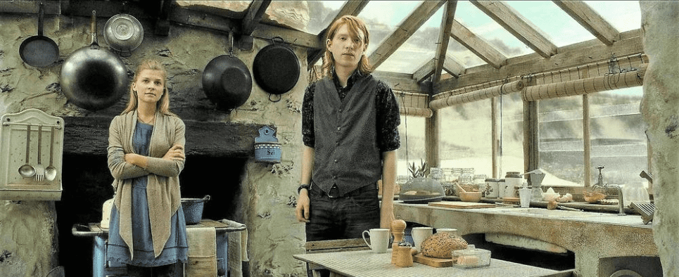 Bill Weasley Spouse_Fleur Delacour