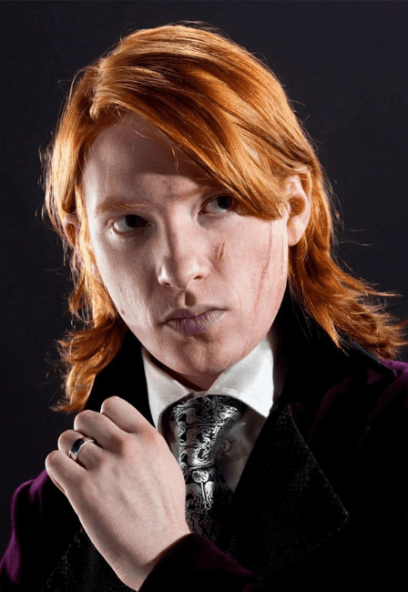 Bill Weasley's Physical Traits