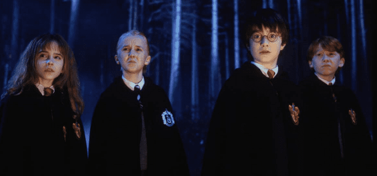 Harry and Draco