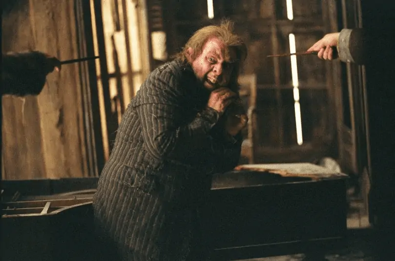 Peter Pettigrew Character Bio