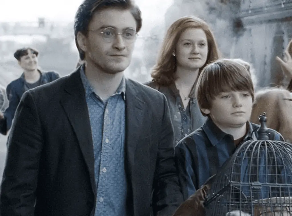 Albus Severus Potter school