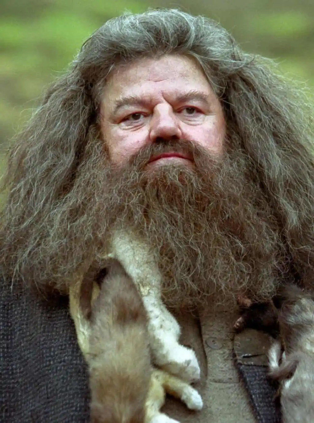 Rubeus Hagrid