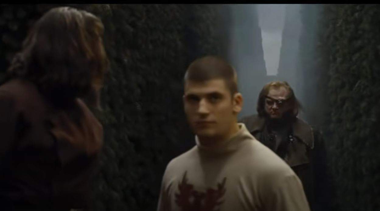 harry potter and the goblet of fire viktor krum