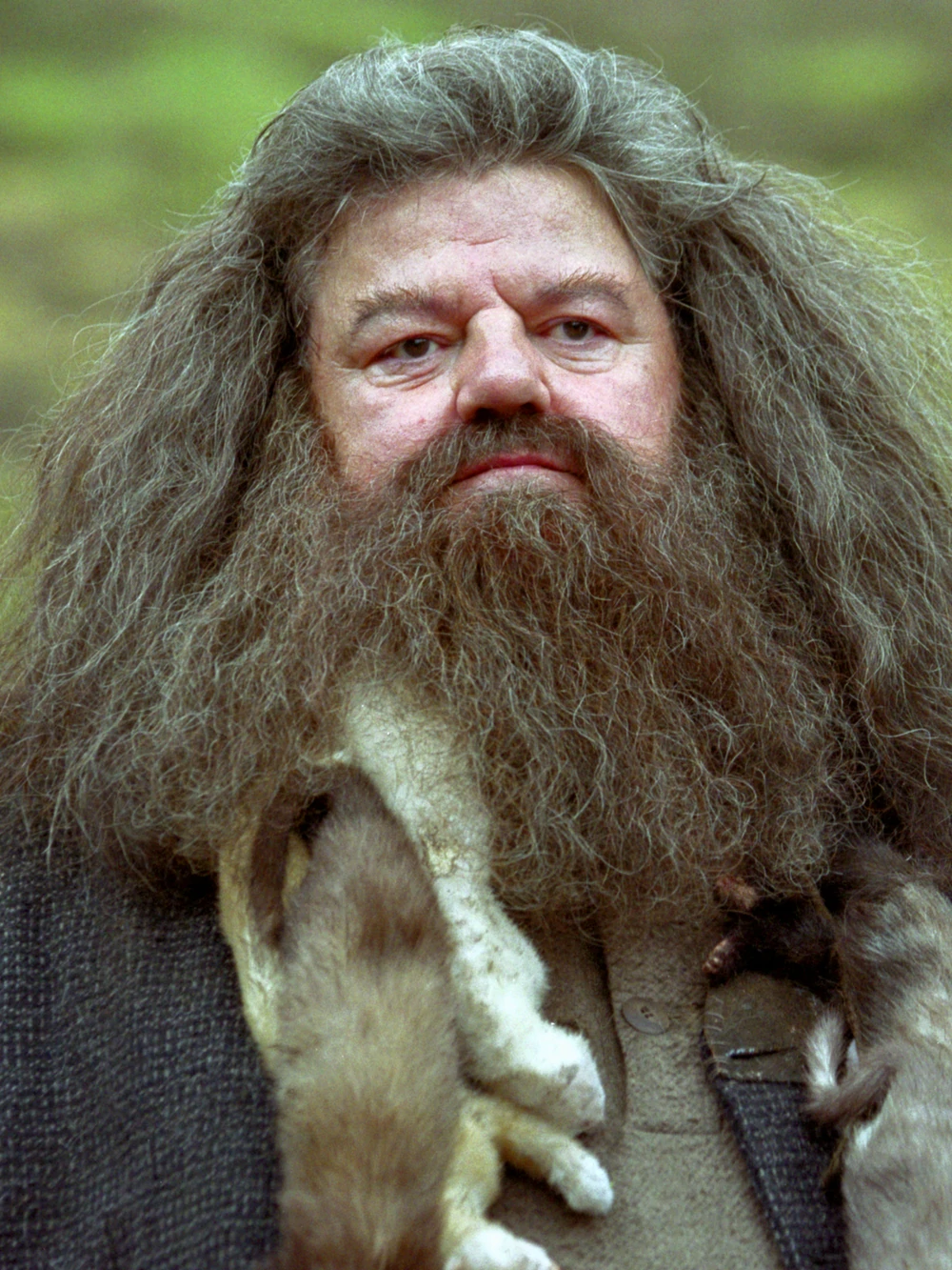 Hagrid 