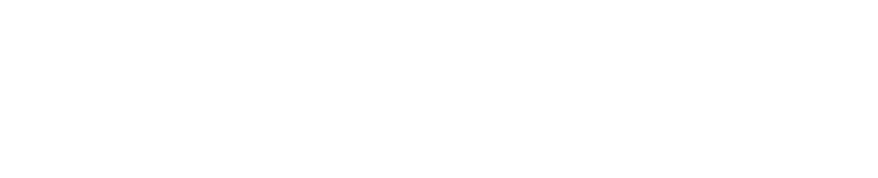 Wizards Welcome logo