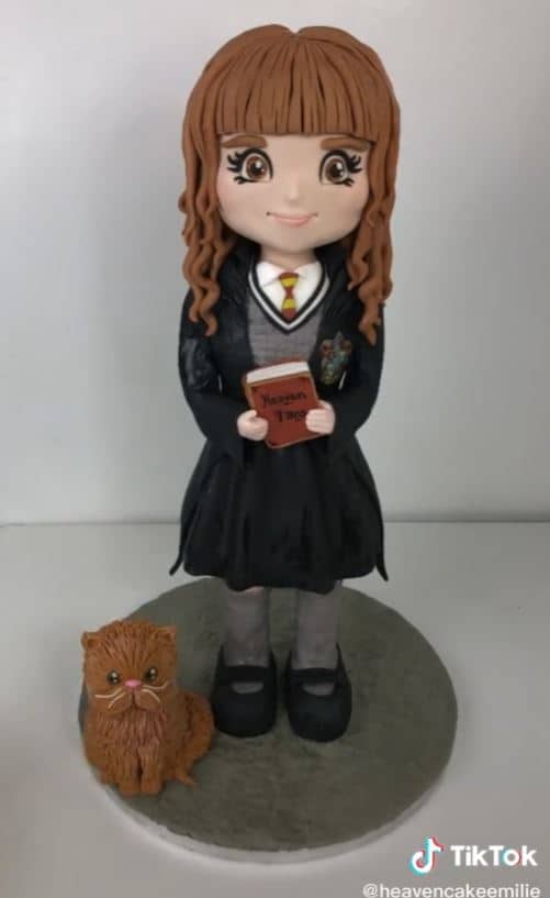 Harry Potter Cake With Hermione And Crookshanks