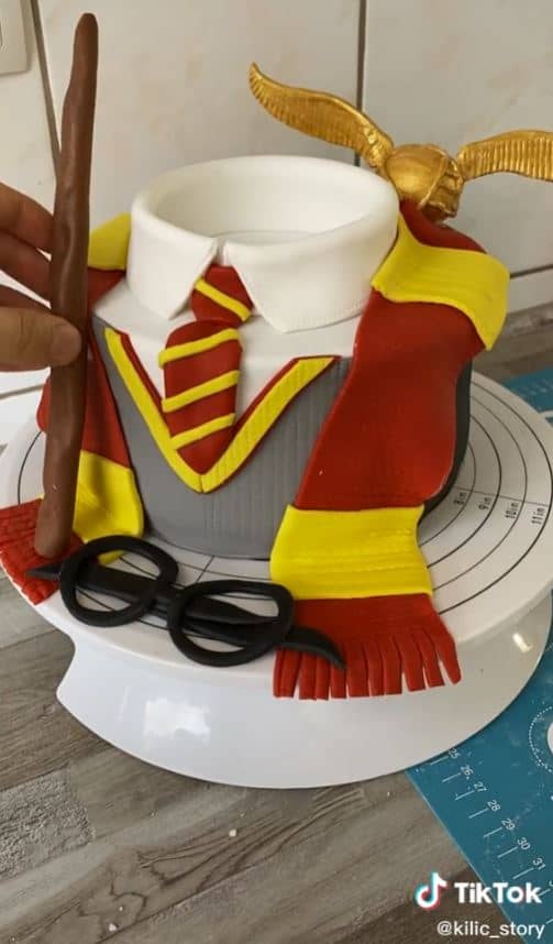 Harry Potter Shirt With Scarf Cake