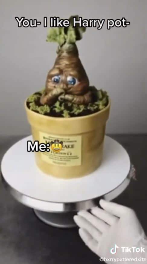 Mandrake Harry Potter Cake